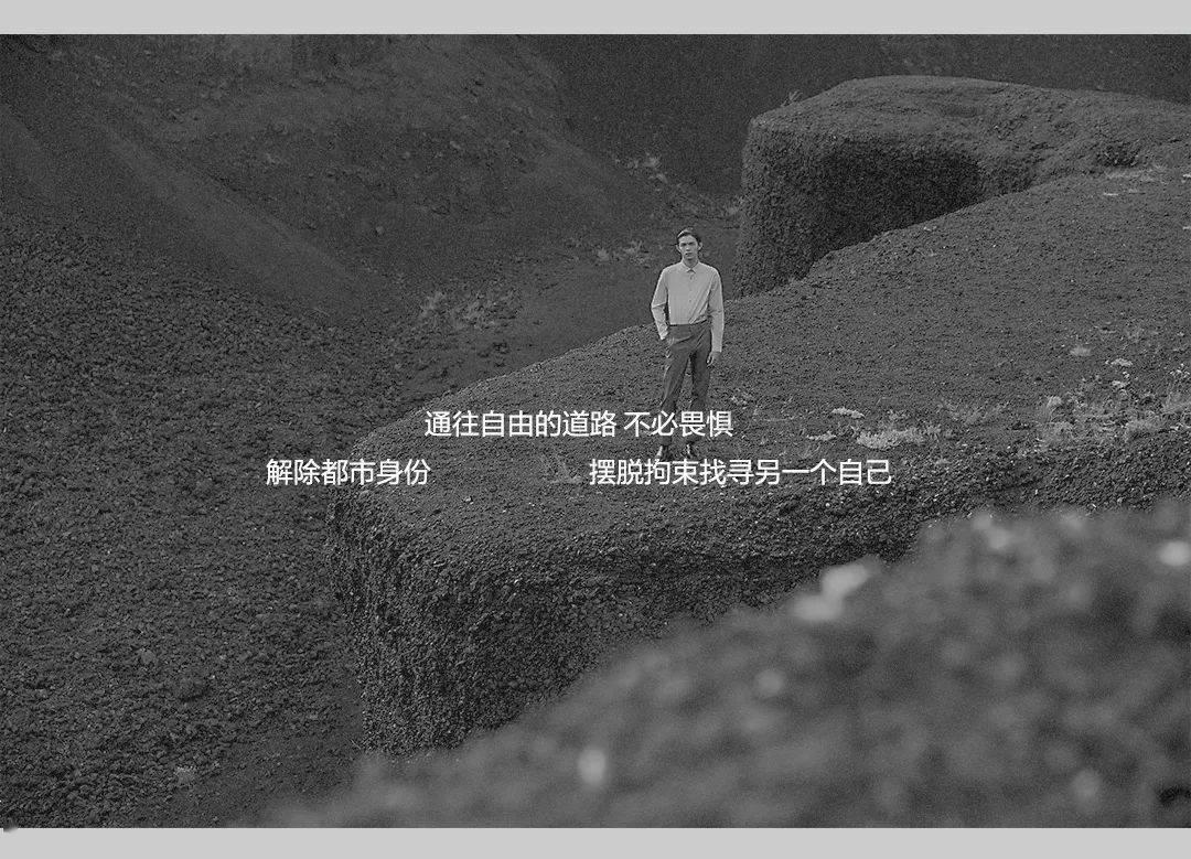 幼崽救援行动选关版